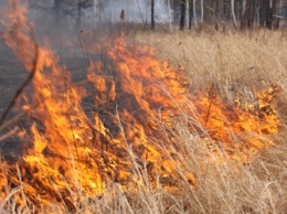 Житель Приамурья стал виновником сразу двух природных пожаров