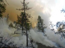 В Приамурье устанавливают камеры для поиска лесных пожаров