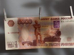В Барнауле выявили поддельную пятитысячную купюру