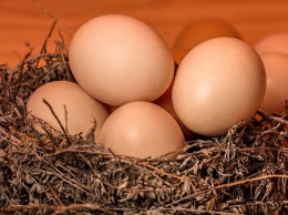 Как похудеть на куриных яйцах без ошибок