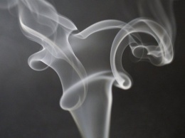Более 7 тысяч пачек немаркированных сигарет изъяли алтайские таможенники