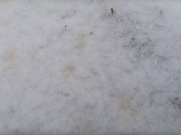 «Выбросы из труб продолжаются»: около сегежского ЦБК снова пожелтел снег