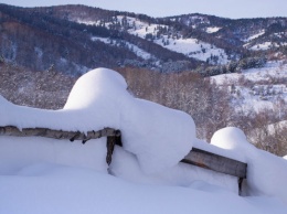 Массовых мероприятий «Алтайской зимовки» в этом году не будет