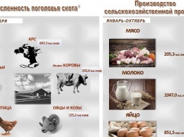 Более 851 млн яиц произведено в Алтайском крае с начала года