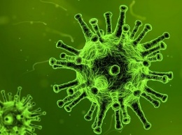 Названы основные варианты передачи коронавируса человеку