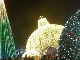 Новогоднюю елку установили на Соборной площади в Ульяновске