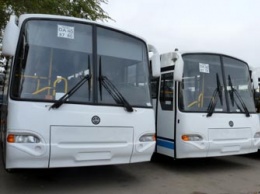 Почти полсотни новых автобусов закупили в этом году для амурчан
