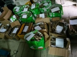 В Белгороде задержаны торговцы рогами азиатского сайгака, занесенного в Красную книгу