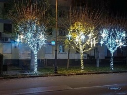Рабочих, монтирующих новогодние украшения в Симферополе, обокрали на улице, - ФОТО