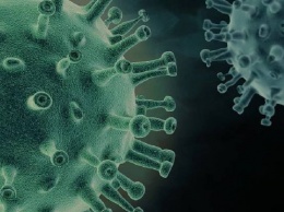 Названы сроки окончания пандемии коронавируса