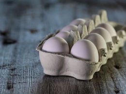 Диетолог предупредила россиян о возможной опасности употребления яиц