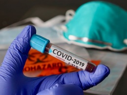 8% от всех случаев коронавируса в ДФО выявлено в Приамурье