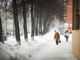 Кузбасские синоптики дали прогноз на первый день календарной зимы
