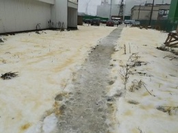 ЦБК назвал причину желтого цвета снега в Сегеже