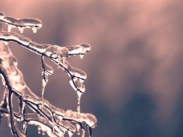 Метеоролог предупредил сибиряков об опасных отклонениях температуры в декабре