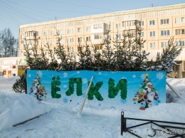Елочные базары начнут свою работу в Кемерове в середине декабря