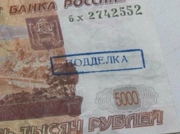 В столице Камчатки подросток получил срок за сбыт фальшивой банкноты