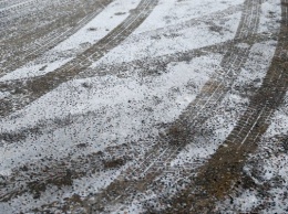 Дятлова рассказала об уборке улиц от первого снега
