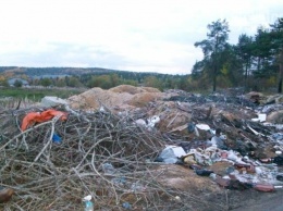 Экологи предупредили, что в Карелии могут исчезнуть контейнеры для раздельного сбора мусора