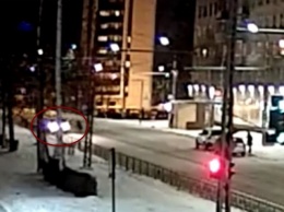 В Петрозаводске пешеход бегал по дороге и кидался под машины