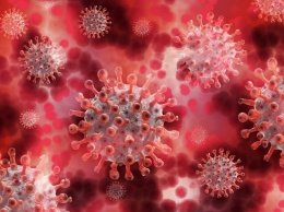Ученые из Британии обнаружили новый вариант коронавируса