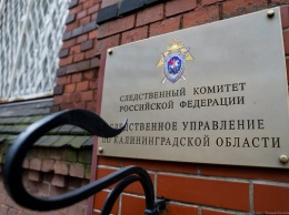 Калининградца обвиняют в наркосбыте и насилии в отношении сотрудника полиции