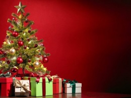 Роспотребнадзор составил перечень советов по выбору новогодней елки