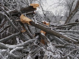 На Алтайский край обрушились снегопады и ветер до 27 м/с