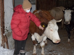 Как фермеру из Алтайского края удалось добиться успеха в пандемию