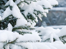 107 единиц техники убирают снег в Барнауле 24 декабря