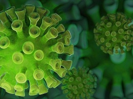 Специалисты выявили новую мутацию коронавируса в Нигерии