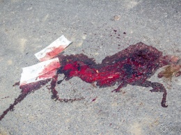 Неизвестный в Екатеринбурге убил человека в маршрутке