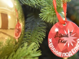 Новогодние желания взрослых и детей исполняют в Алтайском крае