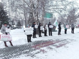 «Мы не от безделья маемся»: барнаульцы обсуждают очередной пикет против дистанта в разгар жутких морозов