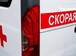 Очевидцы: под Черняховском рейсовый автобус выехал в кювет, водителю стало плохо (фото)
