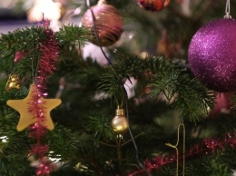 В Барнауле пройдет акция по утилизации новогодних елок