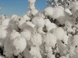 Зимние рекорды: в Змеиногорске прошли наиболее сильные снегопады