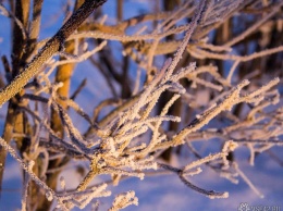 Аномально холодная погода ожидает кузбассовцев в начале января
