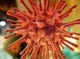 Российский биолог нашел способ остановить появление опасных мутаций коронавируса