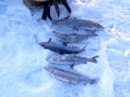 Рыбаки открыли зимний сезон на Онежском озере. Узнали, какой лед
