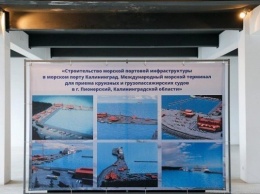 Новый подрядчик порта в Пионерском после подписания договора получил 723 млн руб