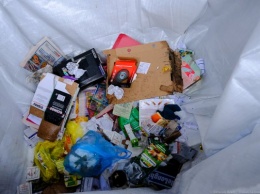 В минувшие праздники на улицах Калининграда собрали в десятки раз меньше мусора