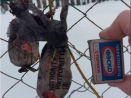 Пенсионерка нашла взрывчатку в угле для растопки печки в Новосибирской области