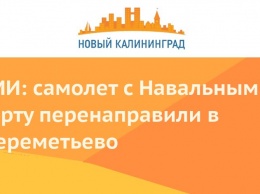 СМИ: самолет с Навальным на борту перенаправили в Шереметьево