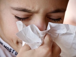 Эпидемия гриппа может обойти Алтайский край стороной