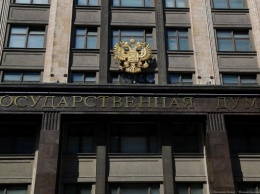 В Госдуме поддержали идею введения в России COVID-паспортов