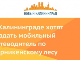 В Калининграде хотят создать мобильный путеводитель по Варникенскому лесу