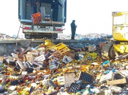 Таможенники уничтожили на полигоне более 20 тонн овощей, фруктов и орехов (фото)