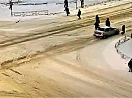 ГИБДД Петрозаводска ищет водителя, который проехал сквозь толпу пешеходов
