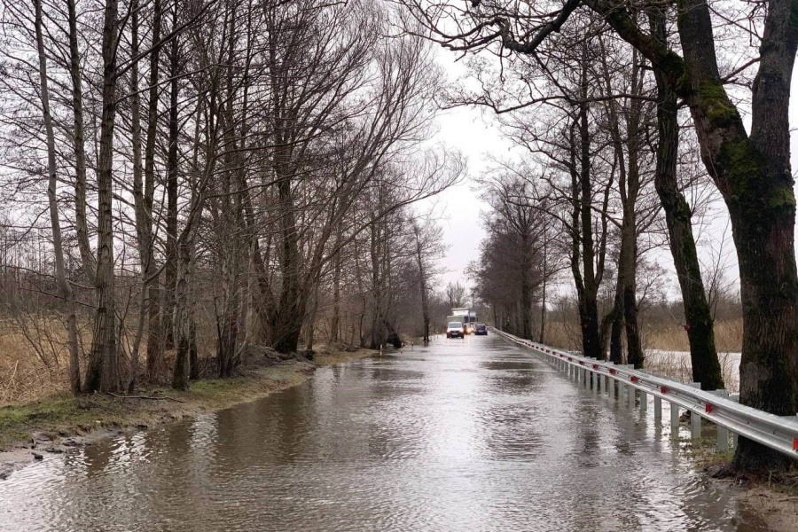 В Калининграде шторм повалил несколько деревьев, дорогу в Прегольский снова затопило (фото)